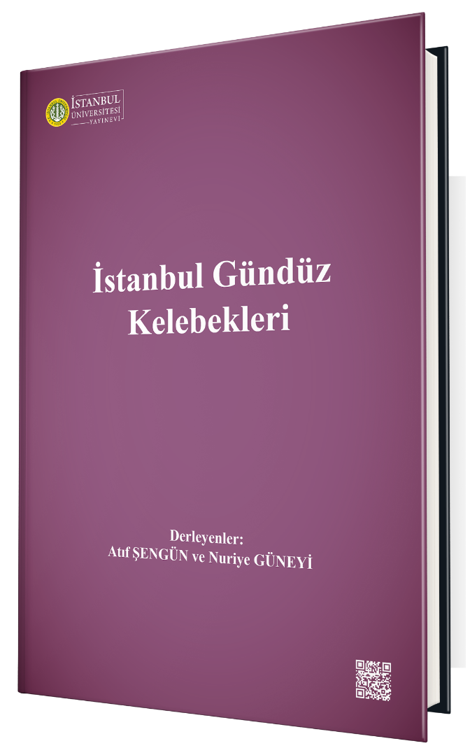 İstanbul Gündüz Kelebekleri