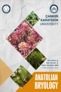 Anatolian Bryology