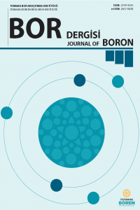 Bor Dergisi