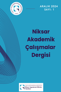 Niksar Akademik Çalışmalar Dergisi