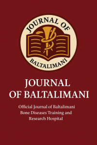 Baltalimanı Dergisi